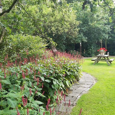 Birdaard Rest En Romte B&B 외부 사진